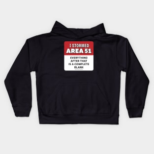 I Stormed AREA 51 Everything After That Is A Complete Blank Kids Hoodie